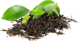 Organic Nilgiri Black Tea