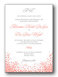 Wedding Invitation Testimonial