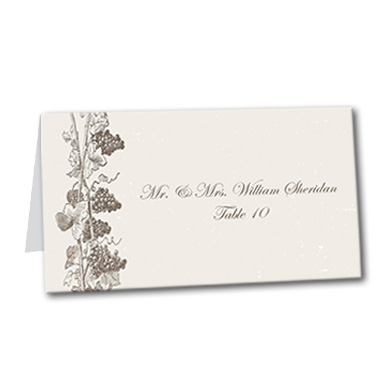 Vineyard Vines Table Card